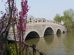 -南汇桃花村
