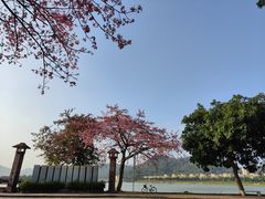 -风云岭森林公园