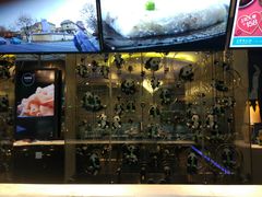 -王家渡火锅店(棕榈泉店)
