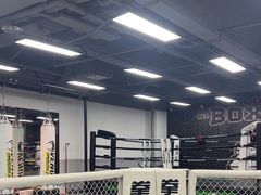 -拳力汇散打搏击泰拳俱乐部(绿地缤纷城店)