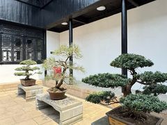 -绮园景区