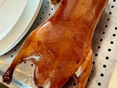 -上海总会SHANGHAICLUB(兴业太古汇店)