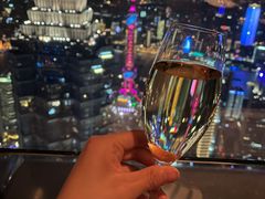 -The lounge 柏悦酒店大堂酒廊(上海环球金融中心店)