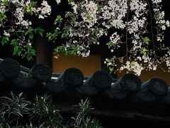 -龙华寺