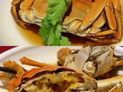 熟醉蟹-老吉士酒家(天平路店)