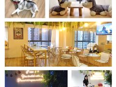 -Husky Go! 哈士奇体验馆·宠物咖啡厅狗咖