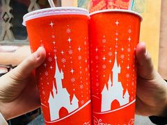-巴黎迪士尼乐园