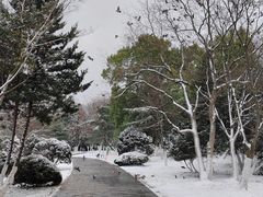 -大蜀山国家森林公园