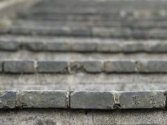 -上海佘山国家森林公园天马山园