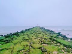 -清澜半岛航天渔人码头