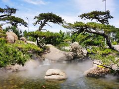 -罗红摄影艺术馆