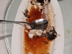 -海派美食·家宴海鲜青岛菜·石锅鲽鱼头(东方城店)
