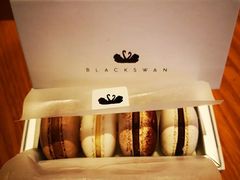 -BLACKSWAN黑天鹅(环球店)