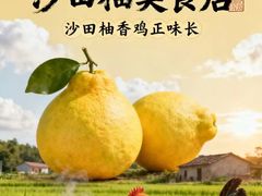 -始于2011柳周农家菜沙田柚美食店(东大街店)