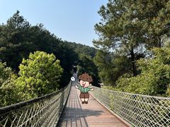 -铁山坪森林公园