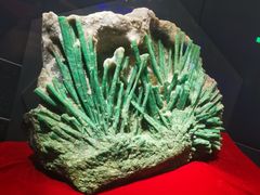 -湖南省地质博物馆