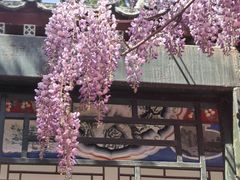-北京市劳动人民文化宫(太庙)