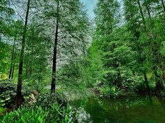 -云溪植物园