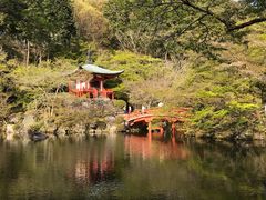 -醍醐寺