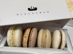 -BLACKSWAN黑天鹅(环球店)