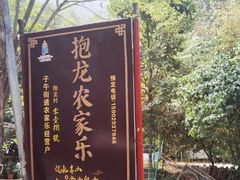 -抱龙峪