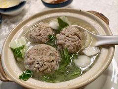 -丁老爷子苏香圆