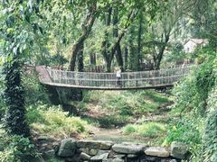 -素山寺森林公园