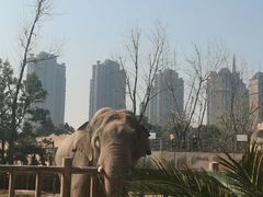 -南昌动物园