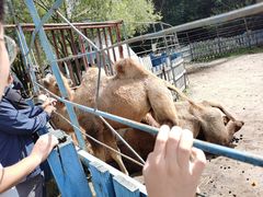 -哈尔滨北方森林动物园