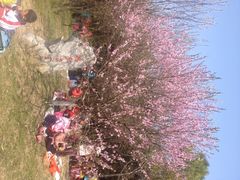 iphone_upload_pic-蠡湖大桥公园