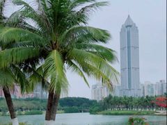 -万绿园