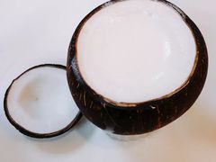 -志龙皇冠吃货椰子铺