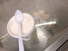 椰子雪糕-洪馨椰子