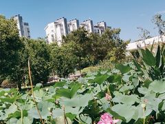 -蜀冈西峰生态公园