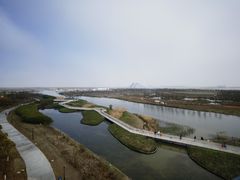 -春花秋色城市公园