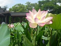 -惠州西湖丰渚园