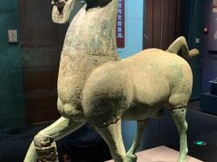 -广西壮族自治区博物馆