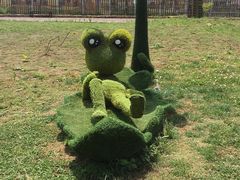 -云漫湖生态度假公园