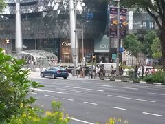 -爱雍·乌节