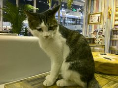 -小时光咖啡馆(开森度假森林店)