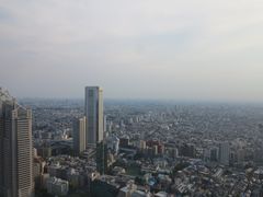-东京都厅舍
