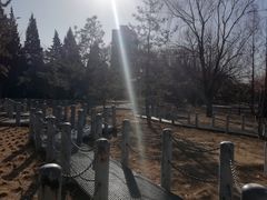 -元大都城垣遗址公园