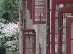-武汉大学-樱园