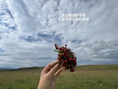 -惠记粉汤羊血梆梆肉(永松路店)