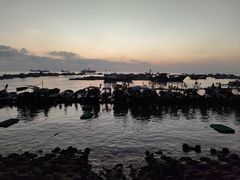 -硇洲岛旅游区