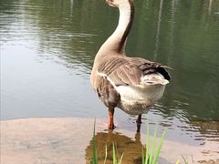 -昆明植物园