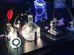 -贝林大翅鲸简餐厅(国家海洋博物馆店)