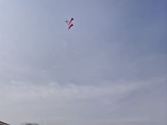 -大明宫国家遗址公园·御道广场