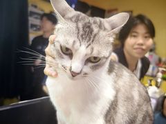 -谜盒子奇幻密室(南屏店)