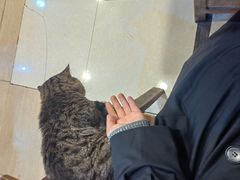 -2048香辣虾(七星岗店)